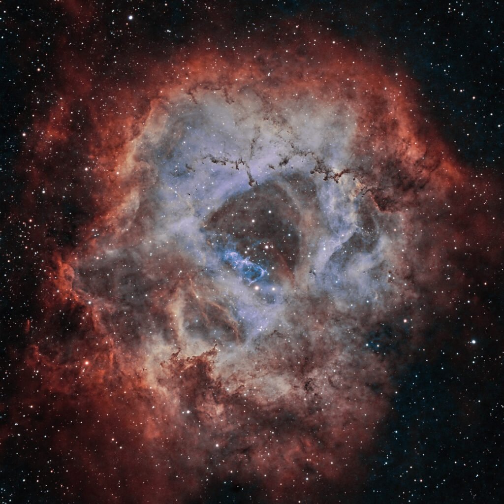 Universo en Miniatura roseta cuadrado